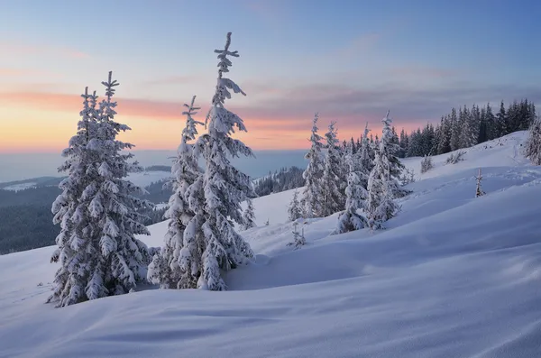 Abendlicher Winter — Stockfoto