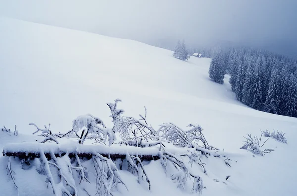 Inverno nas montanhas — Fotografia de Stock