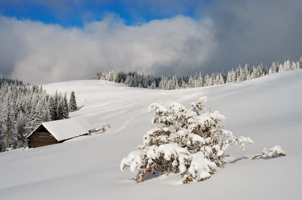Paesaggio con neve fresca — Foto Stock
