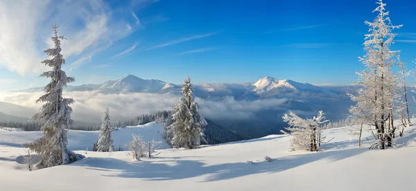 Panorama of winter in the mountains — Stock Photo, Image