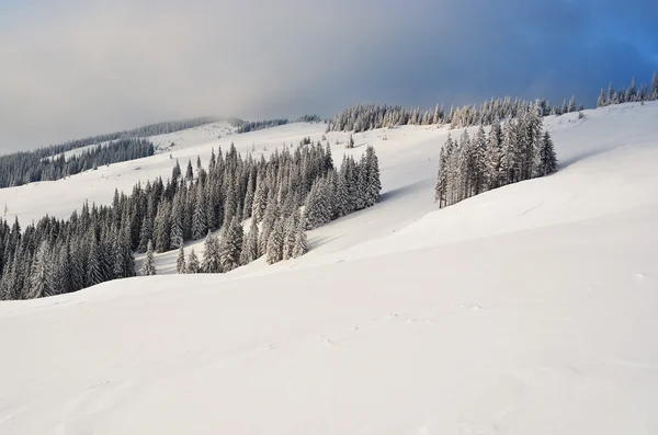 Winterlandschap in de bergen — Stockfoto