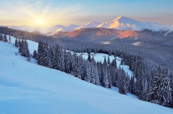 Dawn in winter in mountains — Stock Photo, Image