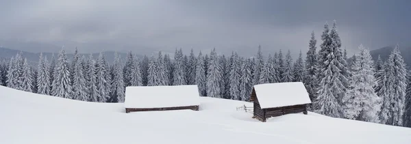 Panorama över vinterlandskap — Stockfoto