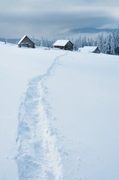 Trail naar de hut — Stockfoto