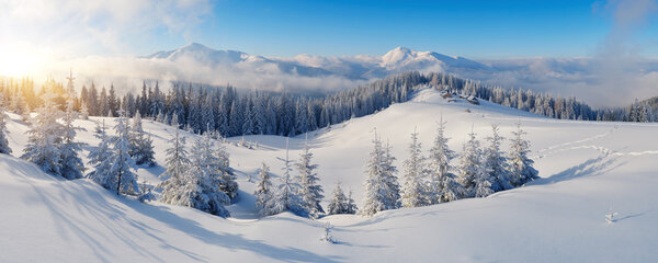 Панорама зимних гор