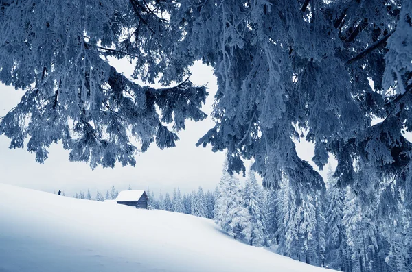 Cabane dans une vallée de montagne — Photo