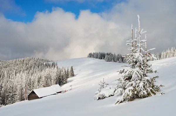 Krajobraz z puszystym śniegu — Zdjęcie stockowe