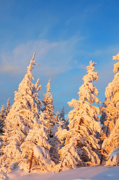 Heldere kleuren sneeuw — Stockfoto