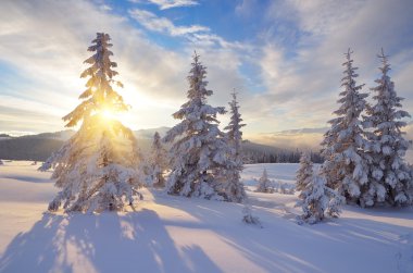 güneşli kış manzarası
