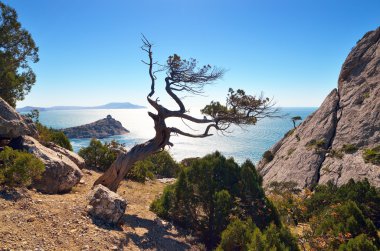 Dağlarda güneşli bir gün 