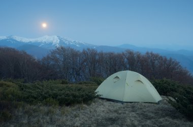 gece ayın altında kamp 