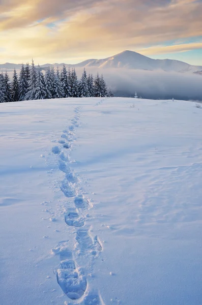 A hó a hegyekben Trail — Stock Fotó