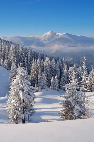 Paesaggio invernale in montagna — Foto Stock