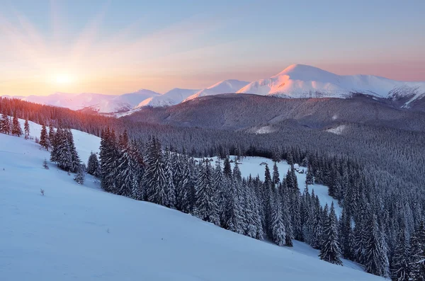 Zimowy krajobraz o świcie — Zdjęcie stockowe