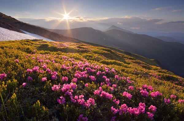 Fantástico atardecer en las montañas — Foto de Stock