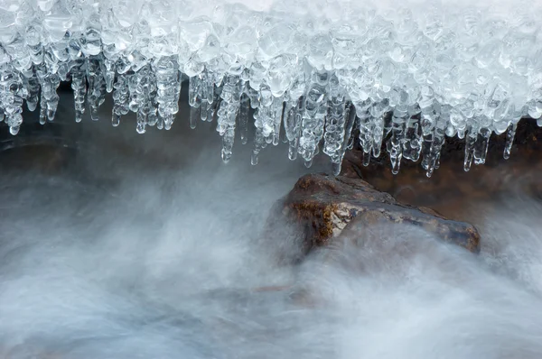 겨울에는 자연 — 스톡 사진