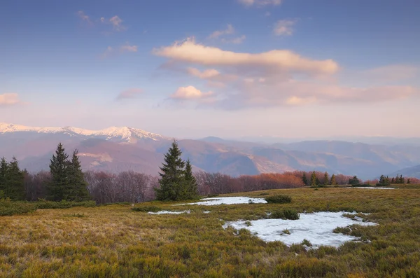 Paisagem Primavera — Fotografia de Stock