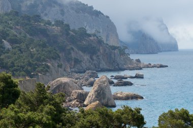 kayalık deniz kıyısı 