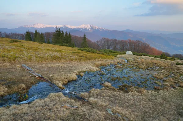 Frühling in den Bergen — Stockfoto