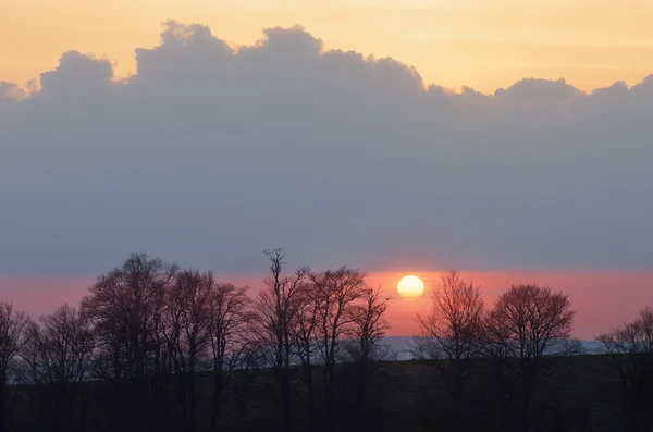 Zachód słońca za drzewami — Zdjęcie stockowe