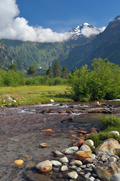 Fiume di montagna freddo — Foto Stock