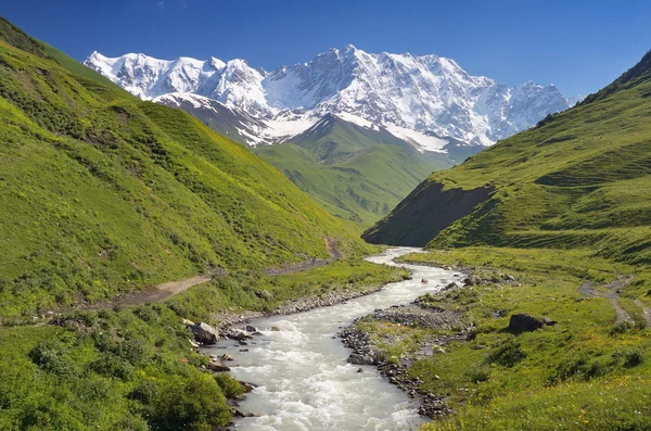 Shkhara mountain in the Caucasus — Stock Photo, Image