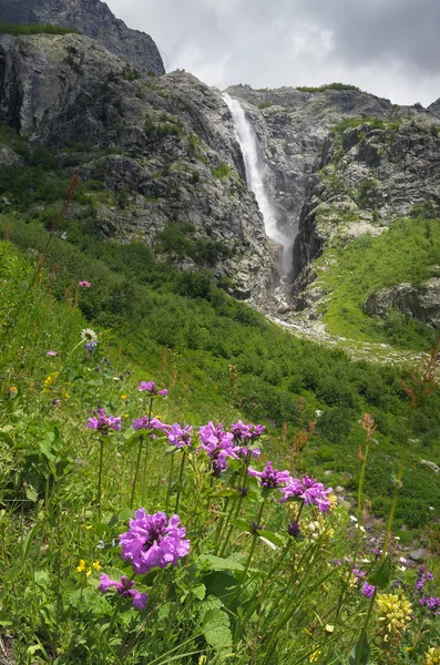 Flowers and waterfall — Stock Photo, Image