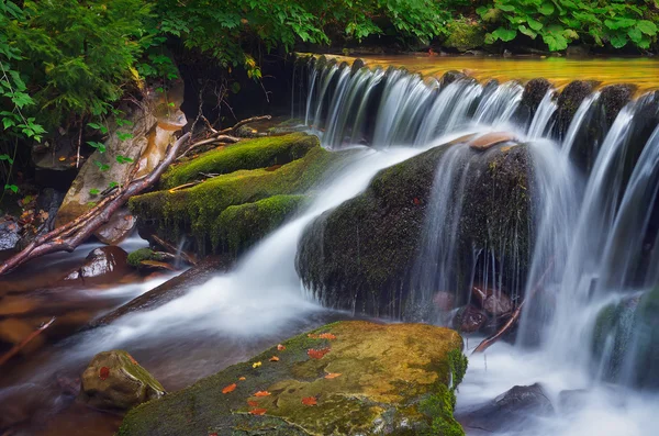 Rio de montanha em cascata — Fotografia de Stock