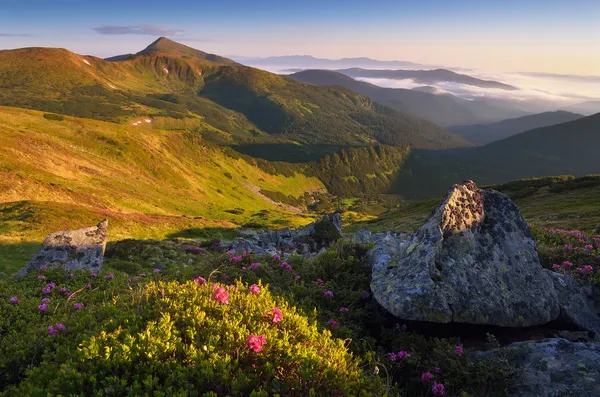 Beautiful morning in the mountains — Stock Photo, Image