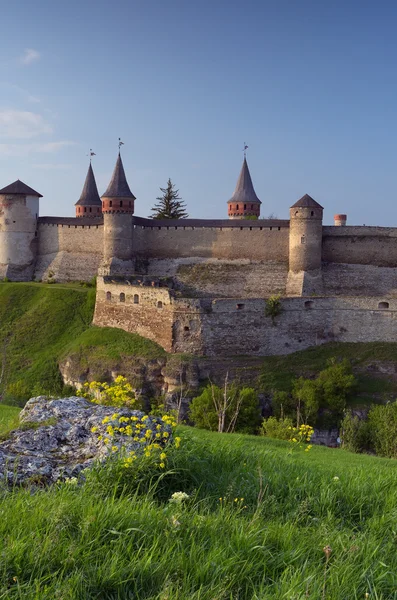 Old fortress on the hill — Stock Photo, Image