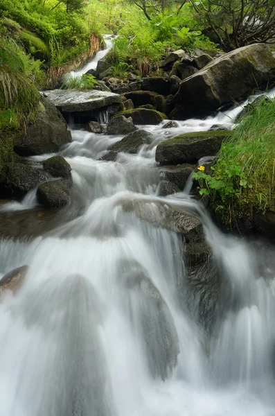 Dağ nehri — Stok fotoğraf