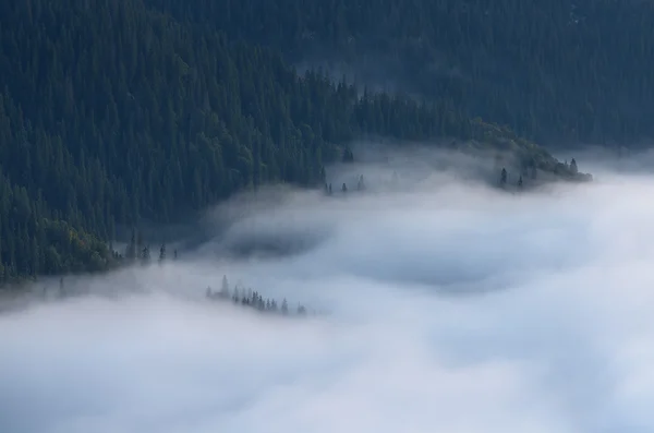 高山上的雾 — 图库照片