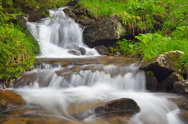 Dağ nehri — Stok fotoğraf