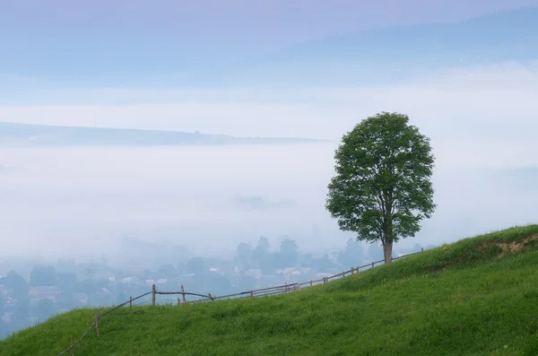 Tree in mountain village — Stock Photo, Image