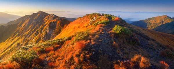 Панорама гірських пейзажів — стокове фото