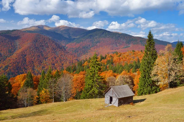 Cabaña en un bosque de montaña. Paisaje otoñal — Foto de Stock