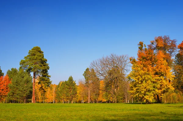 Día soleado de otoño — Foto de Stock