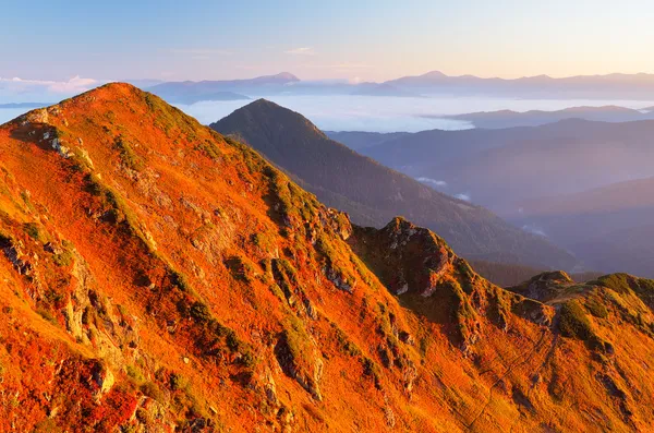 阳光明媚的早晨在山 — Φωτογραφία Αρχείου