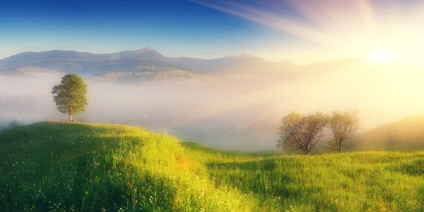 Morgennebel über einem Bergdorf — Stockfoto