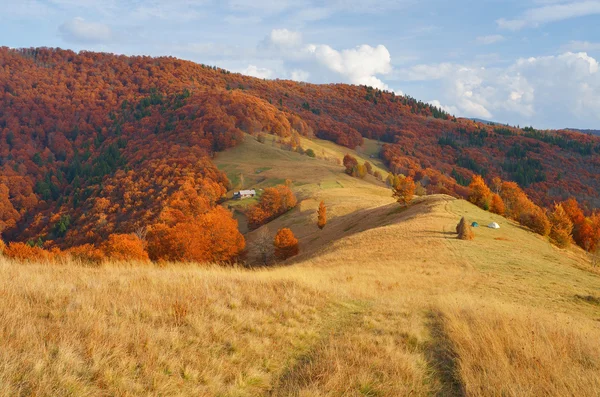 Herbstlandschaft auf dem Land — Stockfoto