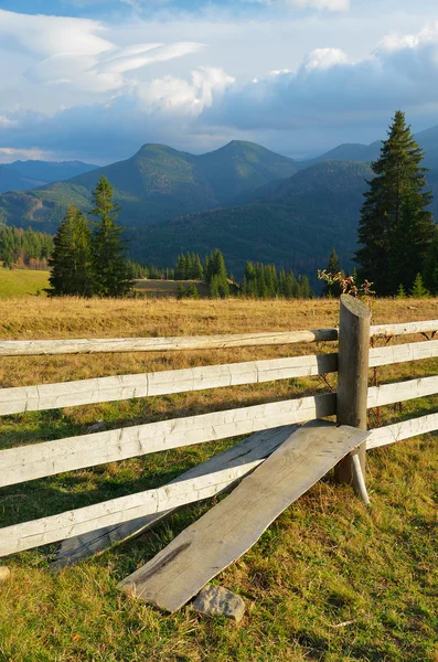 Sommerlandschaft auf dem Land — Stockfoto