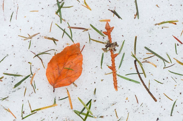 Autumn leaf on ice — Stock Photo, Image