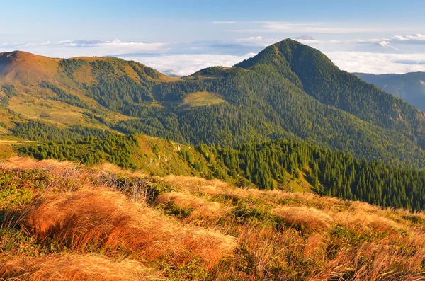 Horská krajina na začátku podzimu — Stock fotografie
