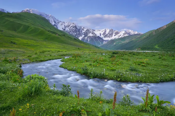 Hızlı dağ Nehri — Stok fotoğraf