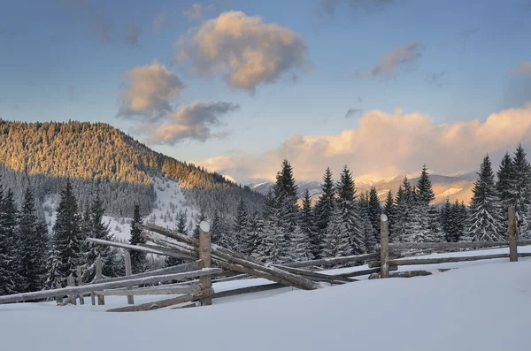 Winterlandschap met een hek — Stockfoto