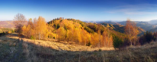 Осенний панорамный горный лес — стоковое фото