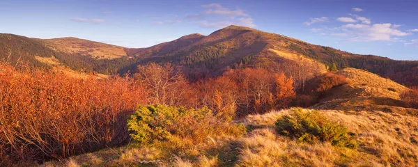 Красочная осень в горах — стоковое фото