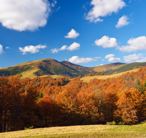 Paisaje de otoño brillante —  Fotos de Stock