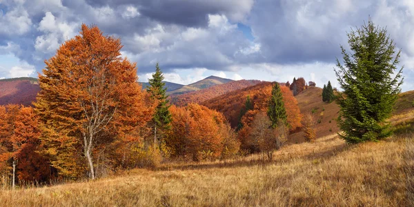 Beautiful Autumn in the mountains — Stock Photo, Image