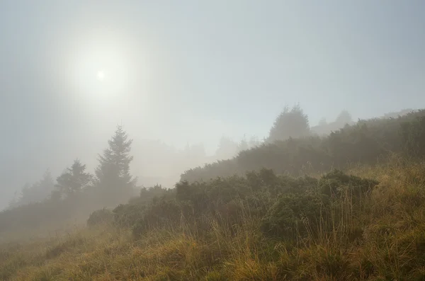 Mist op de berg — Stockfoto